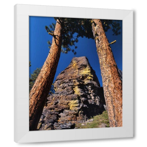 OR, Gearhart Mountain Trees frame rock formation White Modern Wood Framed Art Print by Terrill, Steve