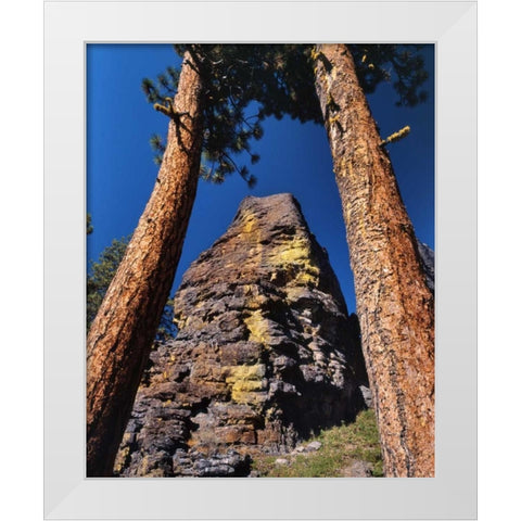 OR, Gearhart Mountain Trees frame rock formation White Modern Wood Framed Art Print by Terrill, Steve