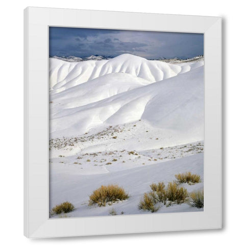 OR, John Day Fossil Beds NM The Painted Hills White Modern Wood Framed Art Print by Terrill, Steve