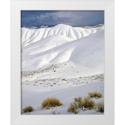 OR, John Day Fossil Beds NM The Painted Hills White Modern Wood Framed Art Print by Terrill, Steve