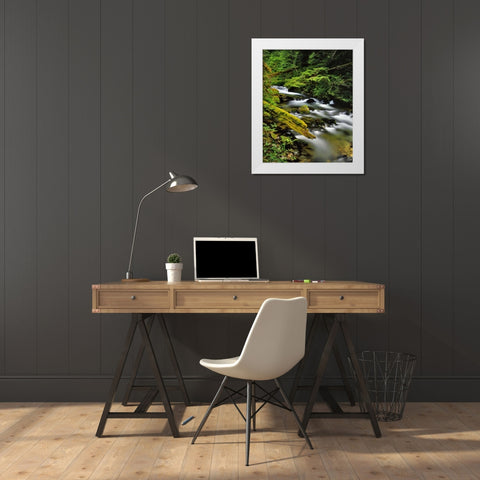 Oregon, Mt Hood NF Still Creek scenic White Modern Wood Framed Art Print by Terrill, Steve