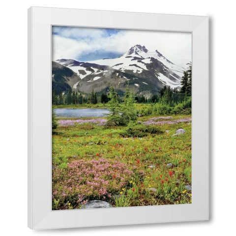 OR Mount Jefferson and field of flowers White Modern Wood Framed Art Print by Terrill, Steve