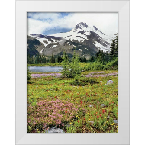 OR Mount Jefferson and field of flowers White Modern Wood Framed Art Print by Terrill, Steve