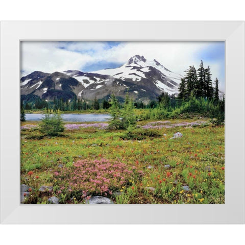 OR Mt Jefferson and field of flowers White Modern Wood Framed Art Print by Terrill, Steve