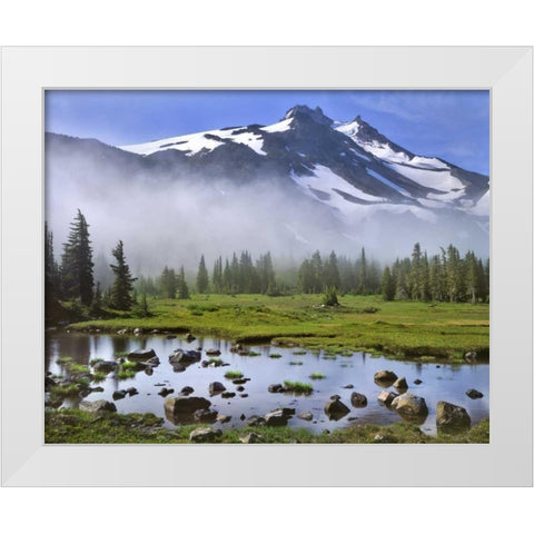 OR, Mt Jefferson Wilderness Mt Jefferson at dawn White Modern Wood Framed Art Print by Terrill, Steve