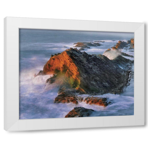 OR, Shore Acres SP Sunset on ocean shore cliffs White Modern Wood Framed Art Print by Terrill, Steve