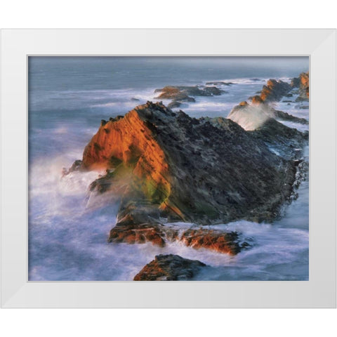 OR, Shore Acres SP Sunset on ocean shore cliffs White Modern Wood Framed Art Print by Terrill, Steve