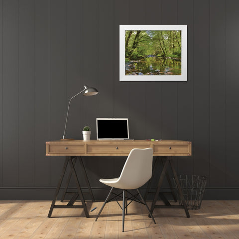 Oregon, Tillamook State Forest Wilson River White Modern Wood Framed Art Print by Terrill, Steve