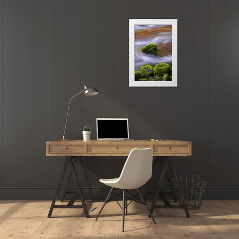 Oregon, Willamette NF McKenzie River over rocks White Modern Wood Framed Art Print by Terrill, Steve