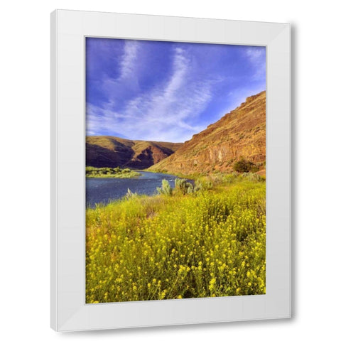 Oregon, John Day River Cliffs and wild mustard White Modern Wood Framed Art Print by Terrill, Steve
