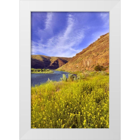 Oregon, John Day River Cliffs and wild mustard White Modern Wood Framed Art Print by Terrill, Steve