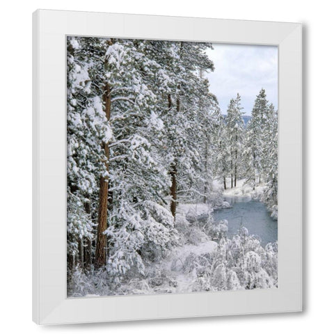 Oregon Fresh snowfall along Warm Springs River White Modern Wood Framed Art Print by Terrill, Steve