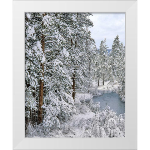 Oregon Fresh snowfall along Warm Springs River White Modern Wood Framed Art Print by Terrill, Steve