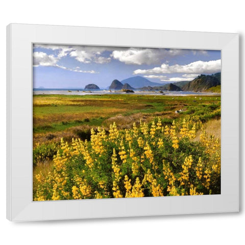Oregon Landscape of yellow lupine and beach White Modern Wood Framed Art Print by Terrill, Steve