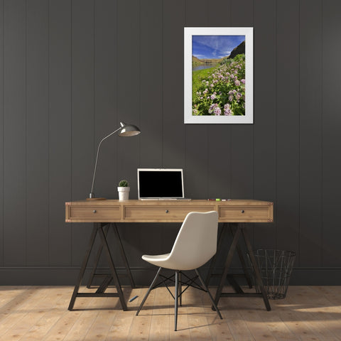 USA, Oregon Milkweed along the John Day River White Modern Wood Framed Art Print by Terrill, Steve