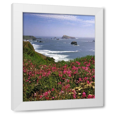 Oregon Seascape of Goat Rock and sweet peas White Modern Wood Framed Art Print by Terrill, Steve