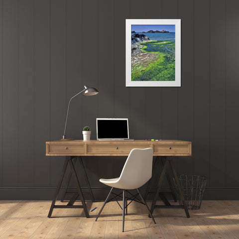 Oregon Rock formations and algae at Seal Rock White Modern Wood Framed Art Print by Terrill, Steve