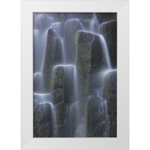 Oregon, Proxy Falls Waterfalls over basalt White Modern Wood Framed Art Print by Delisle, Gilles