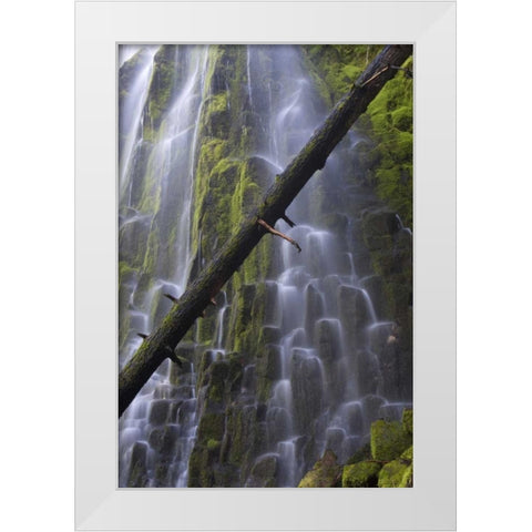 Oregon, Proxy Falls Waterfalls over basalt White Modern Wood Framed Art Print by Delisle, Gilles