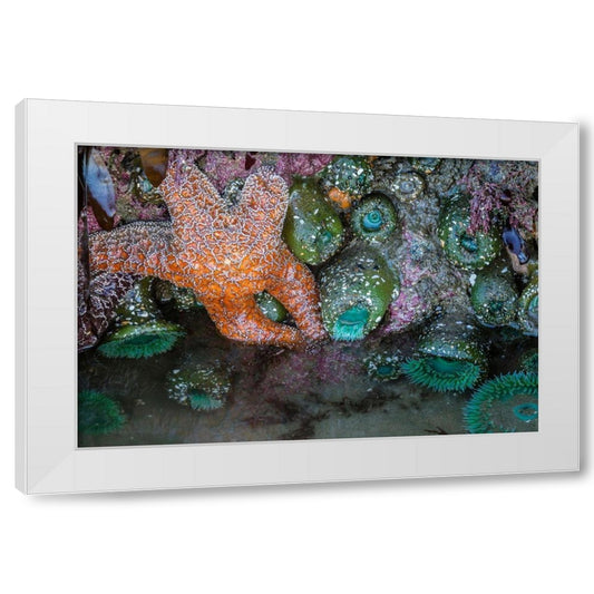 Perspective Image