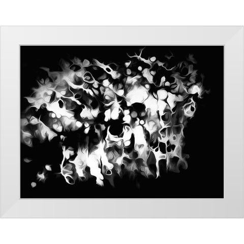 Oregon Abstract of black and white photograph White Modern Wood Framed Art Print by Jaynes Gallery