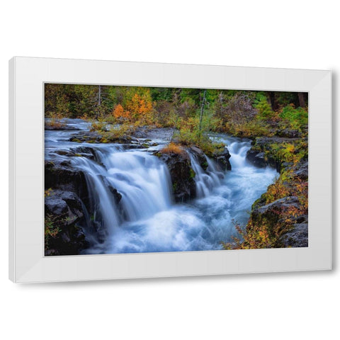 Oregon-Rogue-Umpqua Scenic Byway Upper Rogue River cascades into narrow gorge White Modern Wood Framed Art Print by Jaynes Gallery