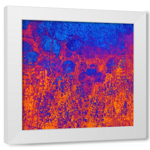 California-Redwood National Park Abstract of lupine flowers and tan oak in fog White Modern Wood Framed Art Print by Jaynes Gallery