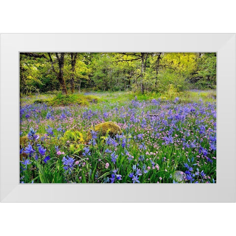 Oregon-Camassia Natural Area Field with blue and pink flowers White Modern Wood Framed Art Print by Jaynes Gallery
