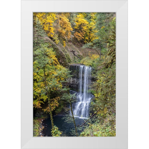USA-Oregon-Silver Falls State Park Lower South Falls waterfall landscape White Modern Wood Framed Art Print by Jaynes Gallery