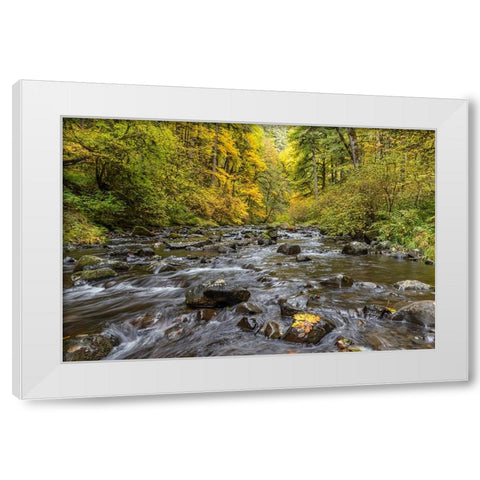 USA-Oregon-Silver Falls State Park River rapids and forest in autumn White Modern Wood Framed Art Print by Jaynes Gallery