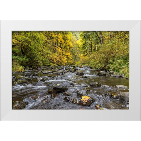 USA-Oregon-Silver Falls State Park River rapids and forest in autumn White Modern Wood Framed Art Print by Jaynes Gallery