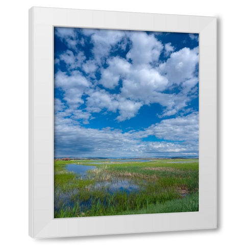 Malheur National Wildlife Refuge White Modern Wood Framed Art Print by Sederquist, Betty
