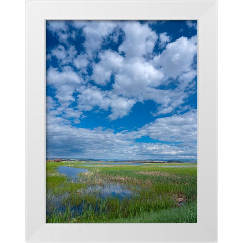 Malheur National Wildlife Refuge White Modern Wood Framed Art Print by Sederquist, Betty