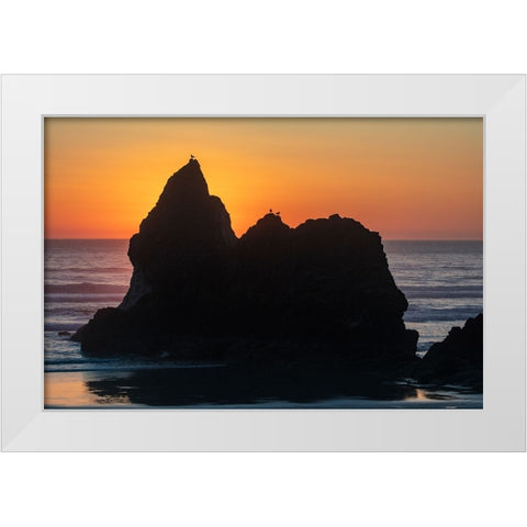 Humbug Point at sunset near Cannon Beach-Oregon-USA White Modern Wood Framed Art Print by Haney, Chuck