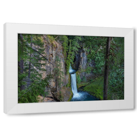 Toketee Falls runs over basalt columns in the Umpqua National Forest-Oregon-USA White Modern Wood Framed Art Print by Haney, Chuck