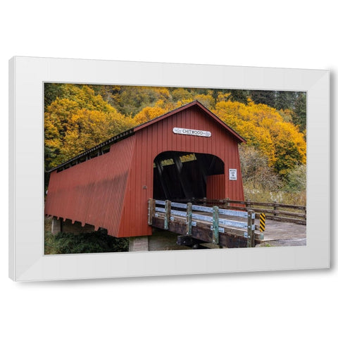 Chitwood Covered Bridge in autumn in Lincoln County-Oregon-USA White Modern Wood Framed Art Print by Haney, Chuck