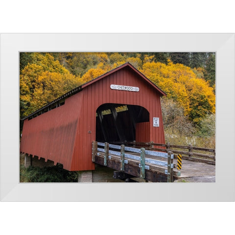 Chitwood Covered Bridge in autumn in Lincoln County-Oregon-USA White Modern Wood Framed Art Print by Haney, Chuck