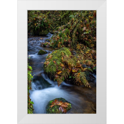 Munson Creek Falls State Natural Site in autumn near Tillamook-Oregon-USA White Modern Wood Framed Art Print by Haney, Chuck