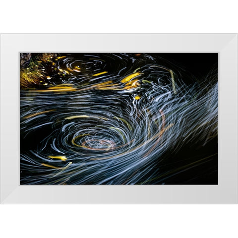 Eddy forms swirling patterns in the Nehalem River in autumn in the Tillamook State Forest-Oregon-USA White Modern Wood Framed Art Print by Haney, Chuck
