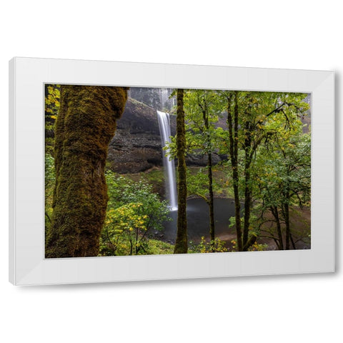 South Falls at Silver Falls State Park near Sublimity-Oregon-USA White Modern Wood Framed Art Print by Haney, Chuck