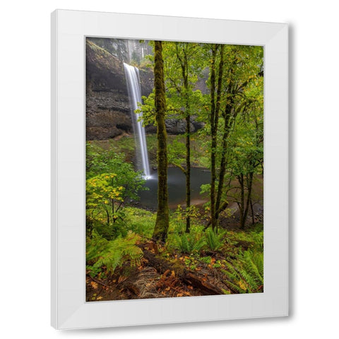 South Falls at Silver Falls State Park near Sublimity-Oregon-USA White Modern Wood Framed Art Print by Haney, Chuck