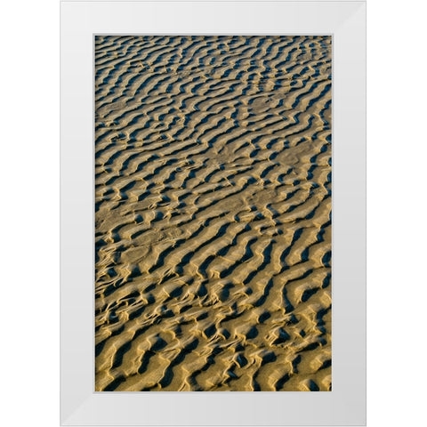 USA- Oregon. Cannon Beach low tide and ripples in the sand. White Modern Wood Framed Art Print by Gulin, Darrell