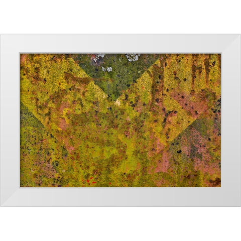 USA- Oregon- Tillamook. Close-up of old and rusted painted front truck bumper White Modern Wood Framed Art Print by Gulin, Darrell