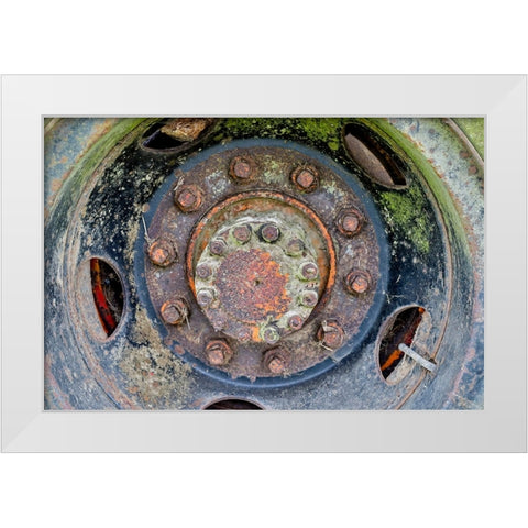 USA- Oregon- Tillamook. Close-up of old and rusted painted truck wheels White Modern Wood Framed Art Print by Gulin, Darrell