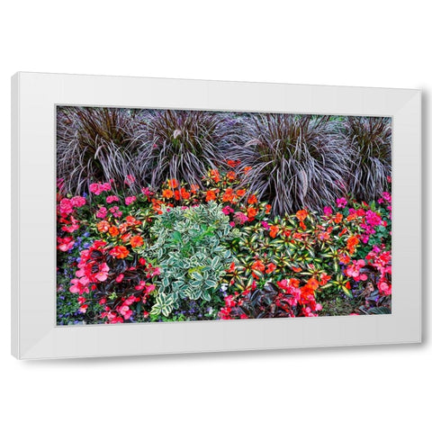 USA- Oregon. Cannon Beach Garden with orange New Guinea impatiens- grasses and reddish geraniums White Modern Wood Framed Art Print by Gulin, Darrell