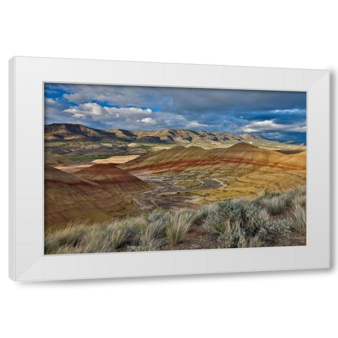 USA- Oregon. John Day Fossil Beds National Monument badlands landscape. White Modern Wood Framed Art Print by Gulin, Darrell