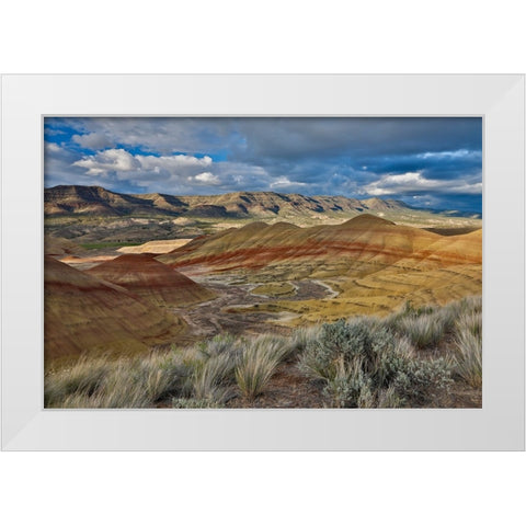 USA- Oregon. John Day Fossil Beds National Monument badlands landscape. White Modern Wood Framed Art Print by Gulin, Darrell
