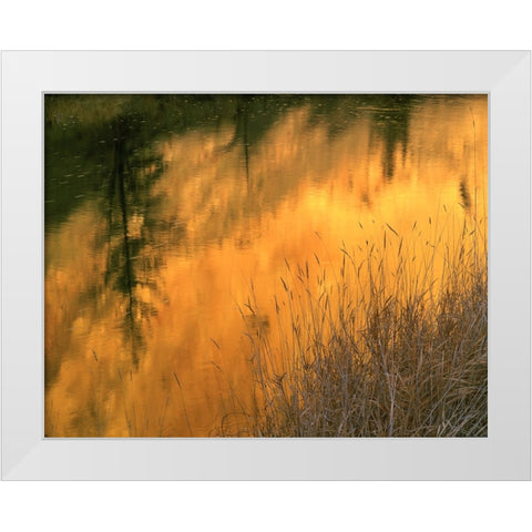 USA-Oregon-Abstract of Crooked River-Smith Rock State Park White Modern Wood Framed Art Print by Garber, Howie