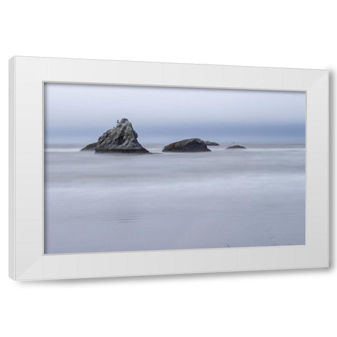 Usa-Oregon-Bandon Bandon Beach White Modern Wood Framed Art Print by Looney, Hollice