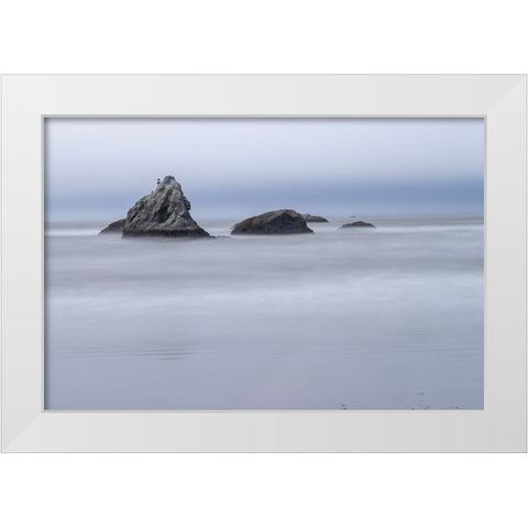 Usa-Oregon-Bandon Bandon Beach White Modern Wood Framed Art Print by Looney, Hollice
